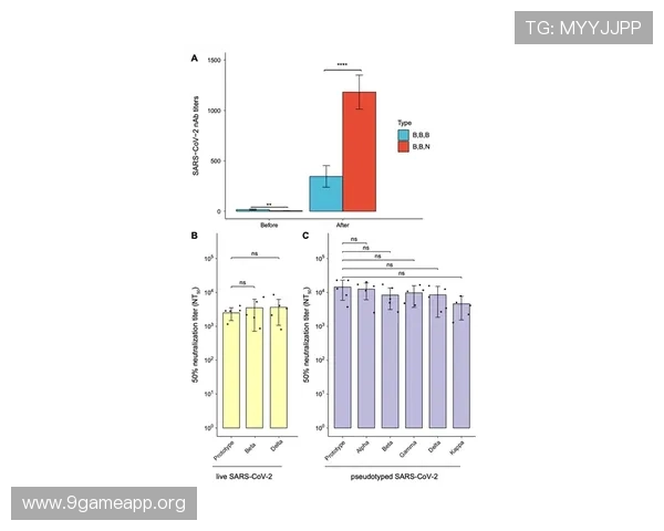 深入分析ag视讯与bb平台的安全性与稳定性，保障玩家的资金与信息安全